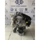 DUS 1.0 TSI Sandık Motor Komple Orijinal Sıfır | Volkswagen Audi Seat Skoda Uyumlu