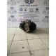 Volkswagen 2.0 BKD Otomatik Şanzıman 02E301103F Çıkma OEM